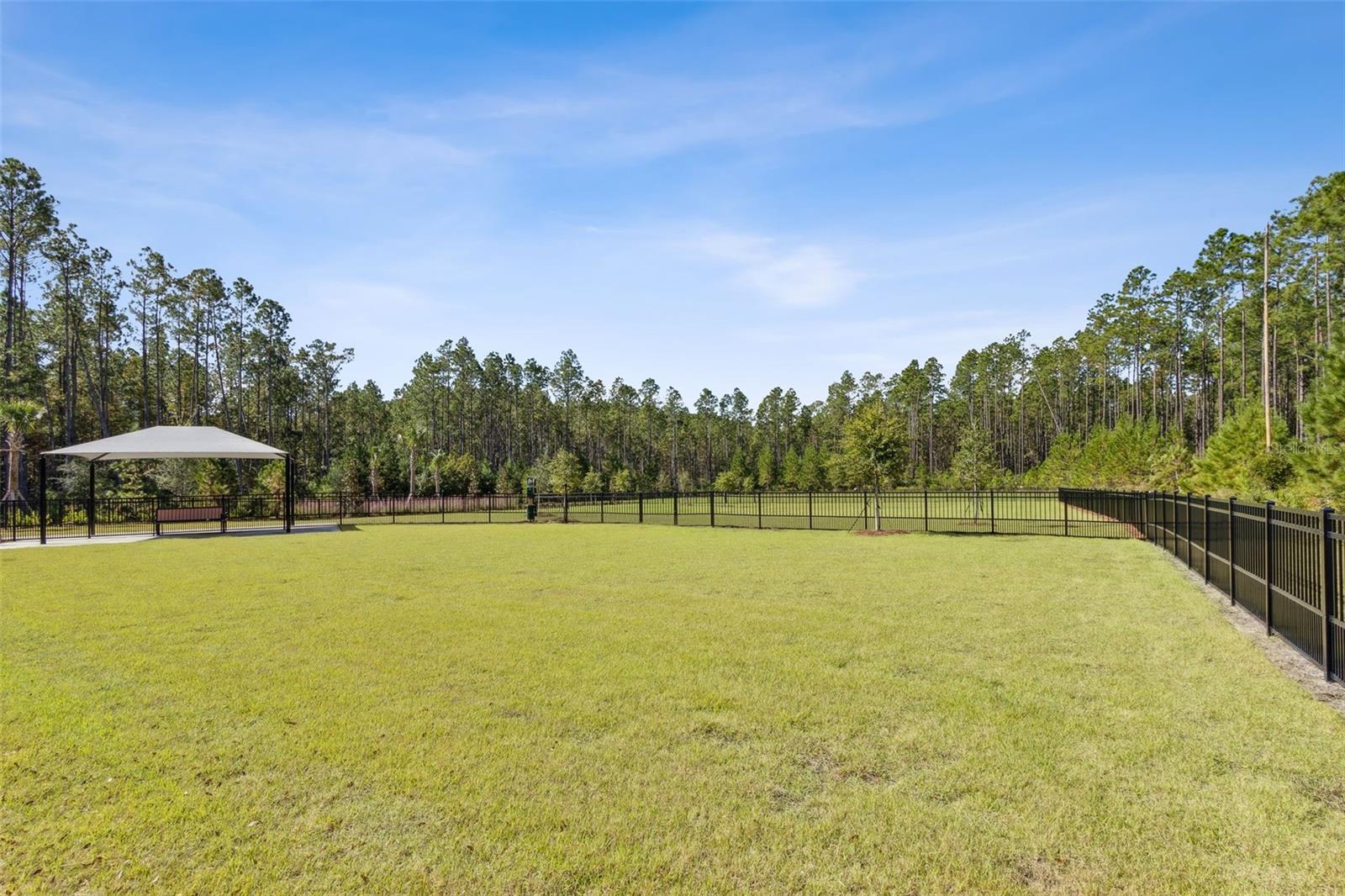 250 DAYDREAM AVE, YULEE, FL, 32097