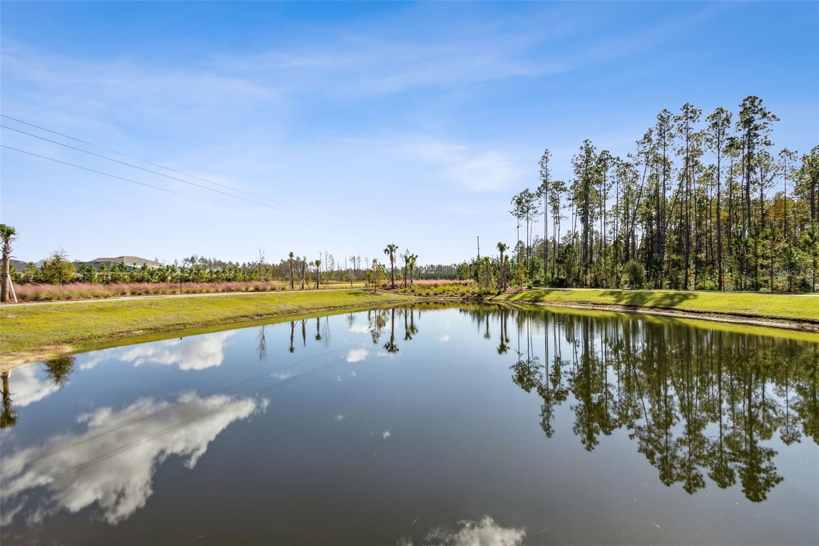 250 DAYDREAM AVE, YULEE, FL, 32097