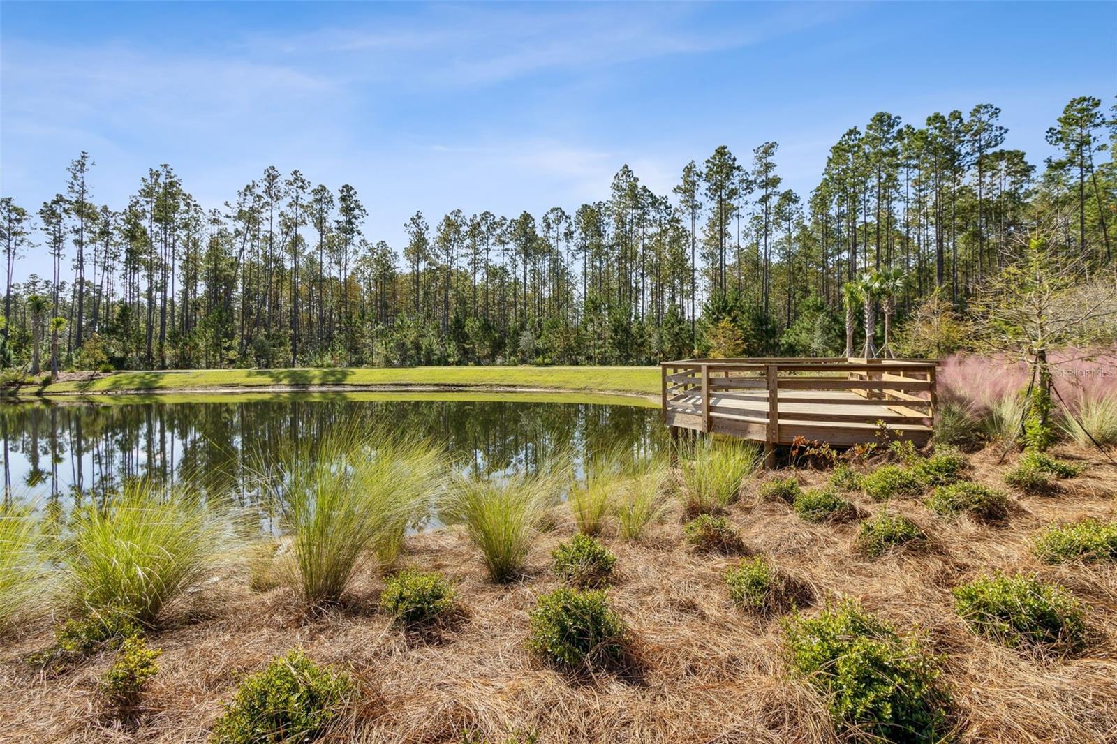 250 DAYDREAM AVE, YULEE, FL, 32097