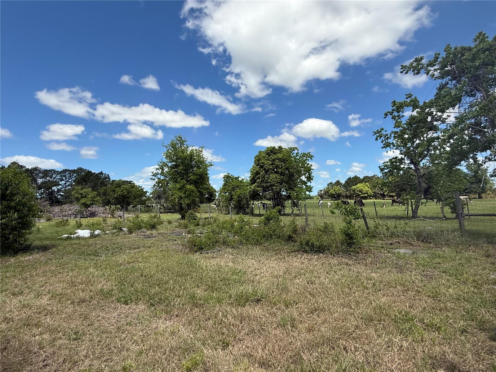 15816 MULLINS BLVD, UMATILLA, FL, 32784