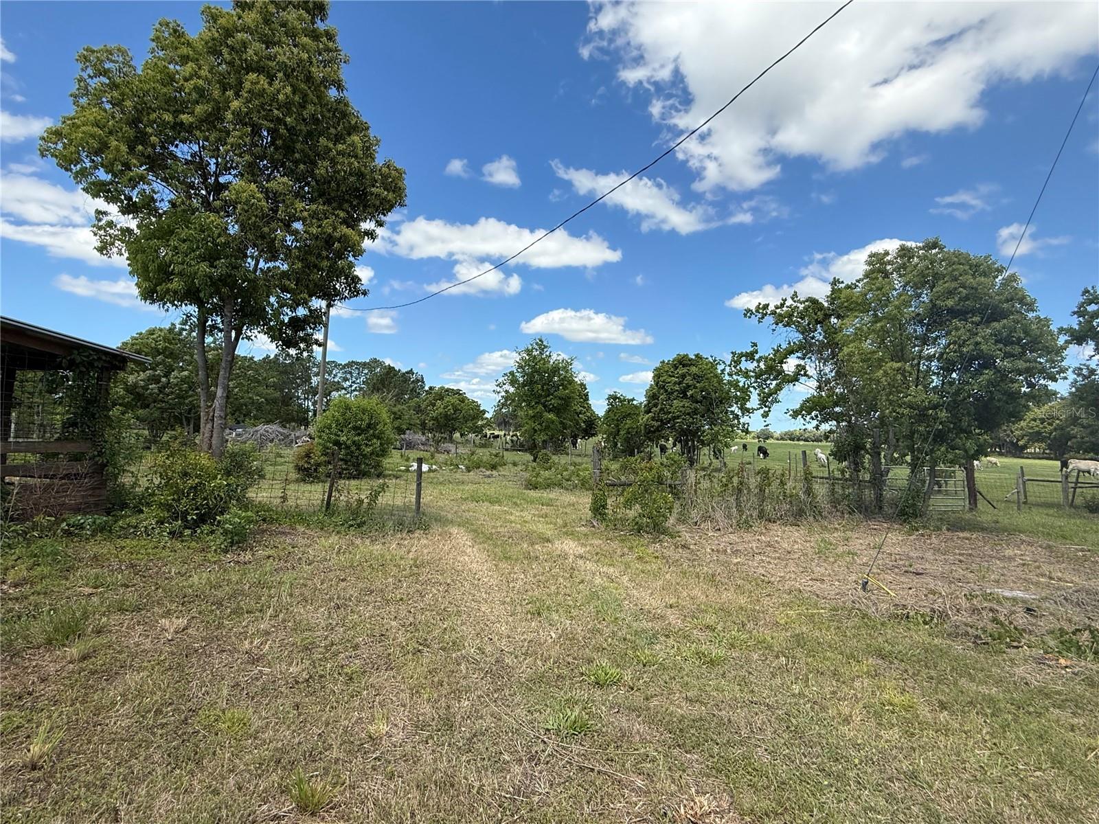 15816 MULLINS BLVD, UMATILLA, FL, 32784