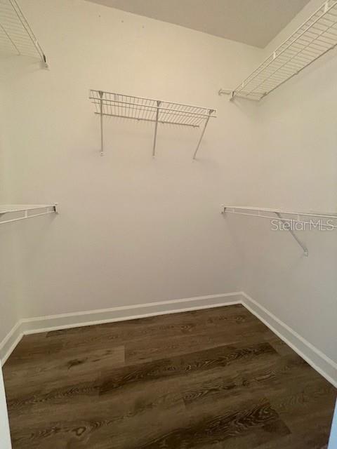 18319 BRIDLE CLUB DR, TAMPA, FL, 33647