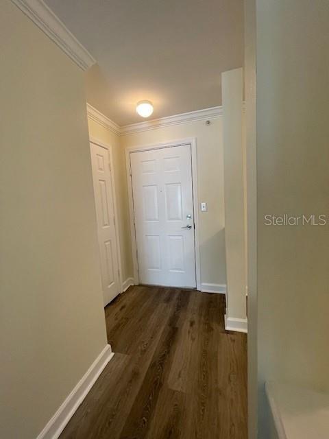 18319 BRIDLE CLUB DR, TAMPA, FL, 33647
