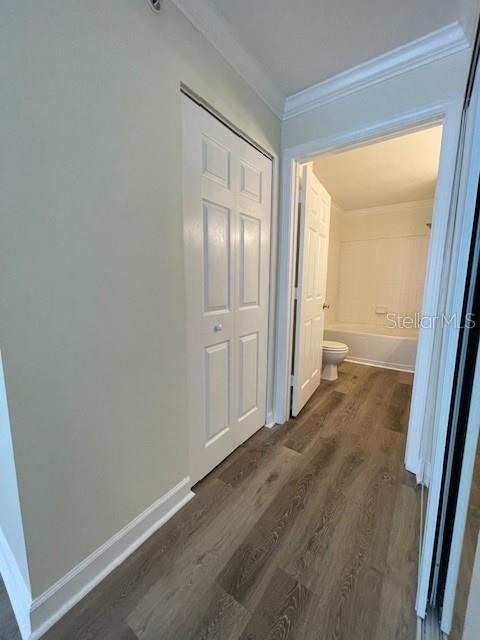 18319 BRIDLE CLUB DR, TAMPA, FL, 33647