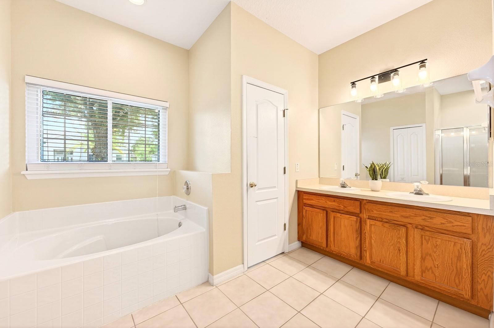 3054 BAY LAUREL CIR N, KISSIMMEE, FL, 34744