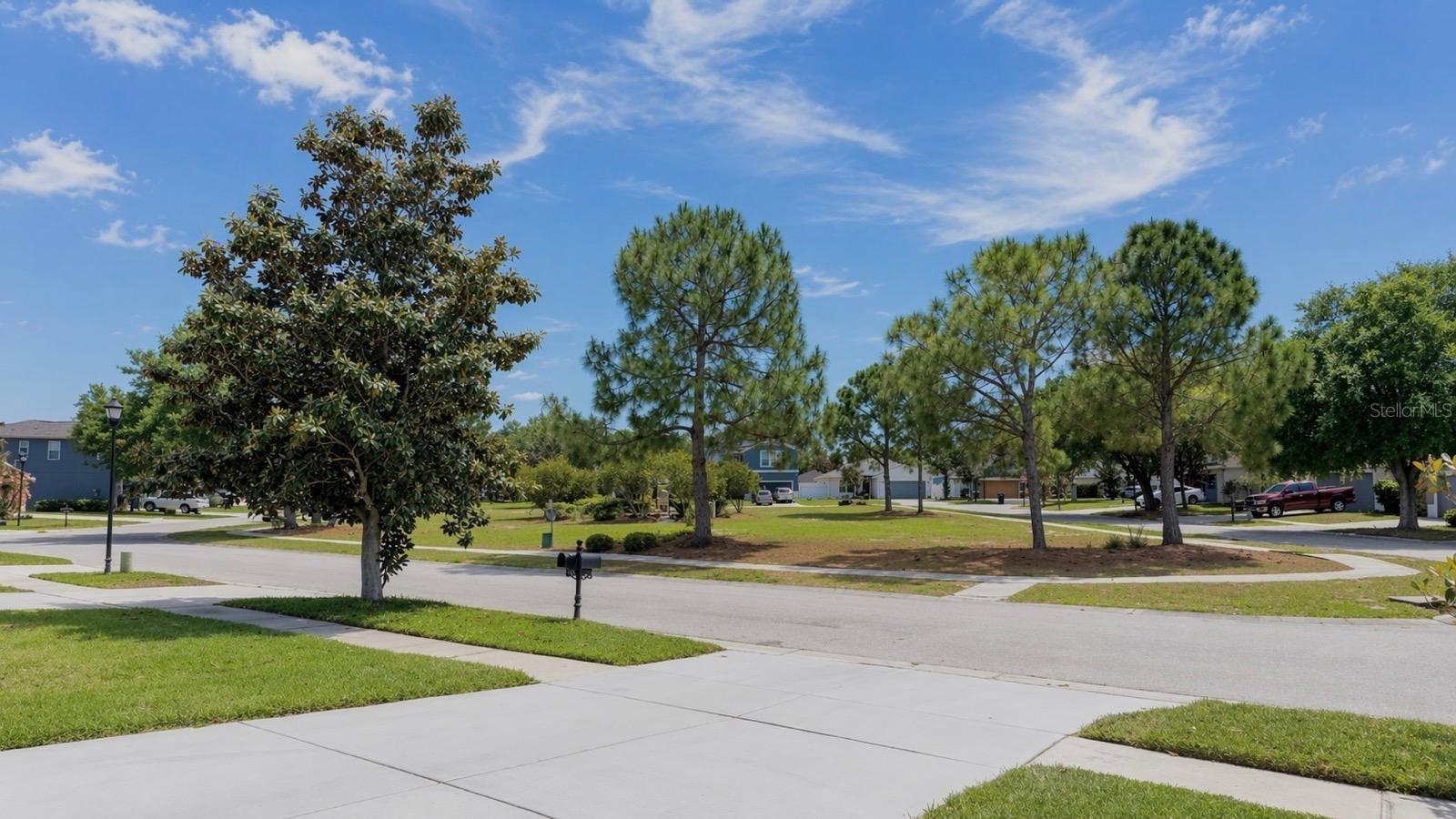 11613 MOUNTAIN BAY DR, RIVERVIEW, FL, 33569