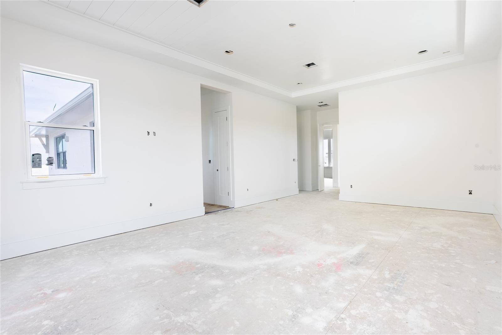 Primary bedroom with walk-in closets and tray ceilings