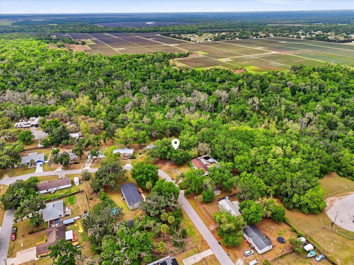 4810 MYRTLE VIEW DR N, MULBERRY, FL, 33860