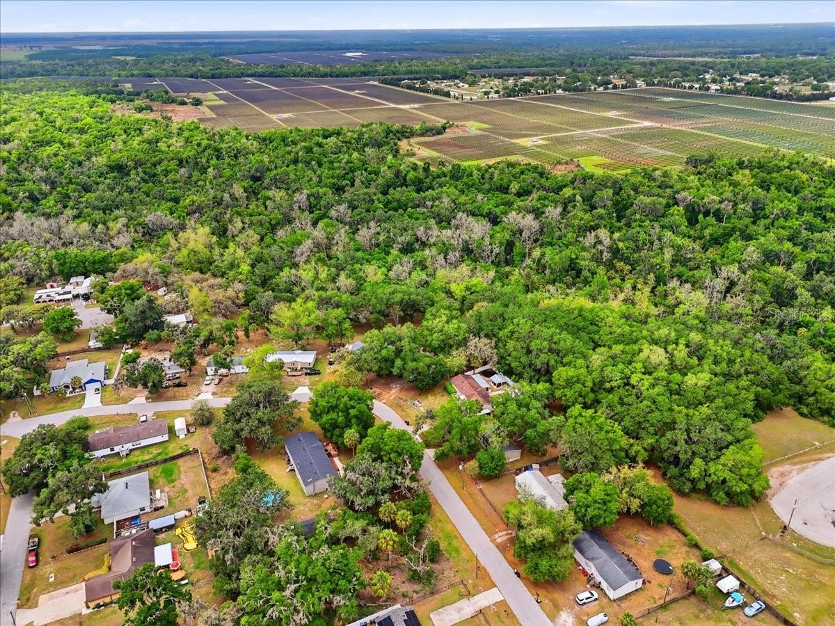 4810 MYRTLE VIEW DR N, MULBERRY, FL, 33860