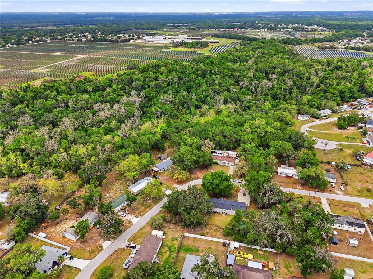 4810 MYRTLE VIEW DR N, MULBERRY, FL, 33860