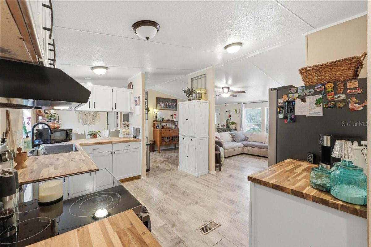 4810 MYRTLE VIEW DR N, MULBERRY, FL, 33860