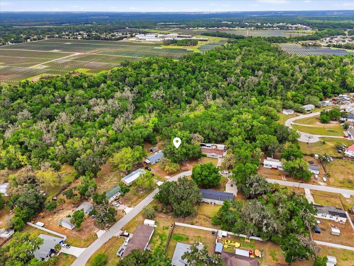 4810 MYRTLE VIEW DR N, MULBERRY, FL, 33860