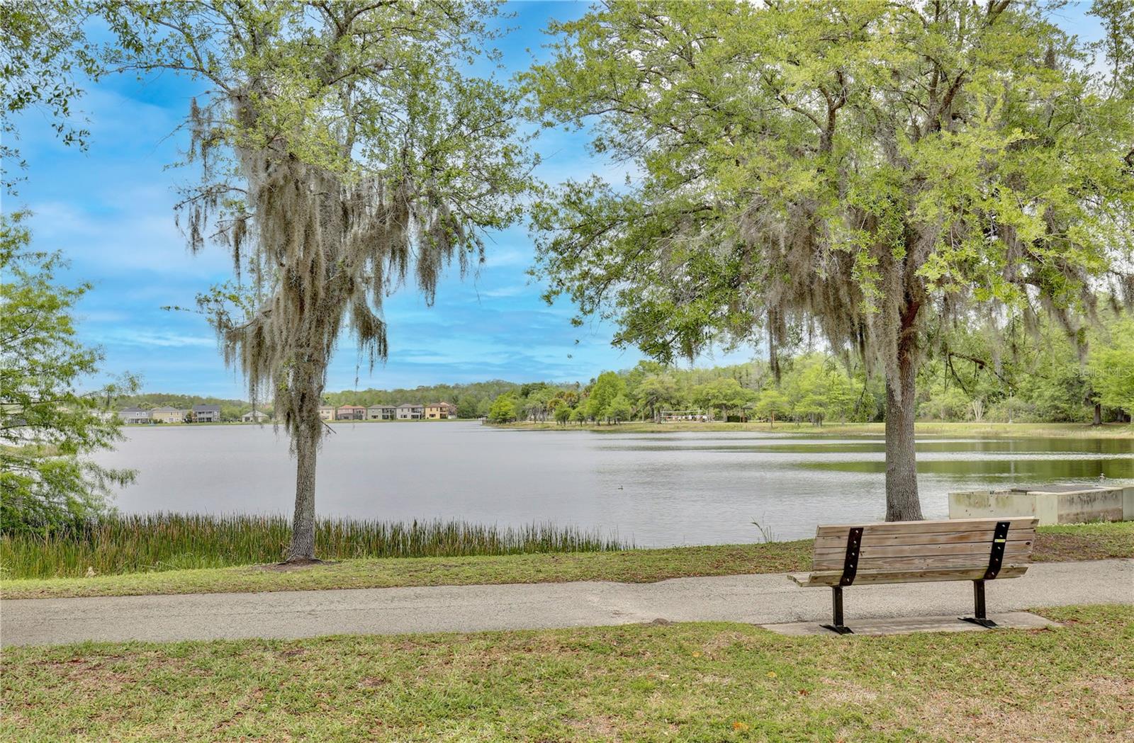 10710 DAWSON LILY WAY #38A, ORLANDO, FL, 32832