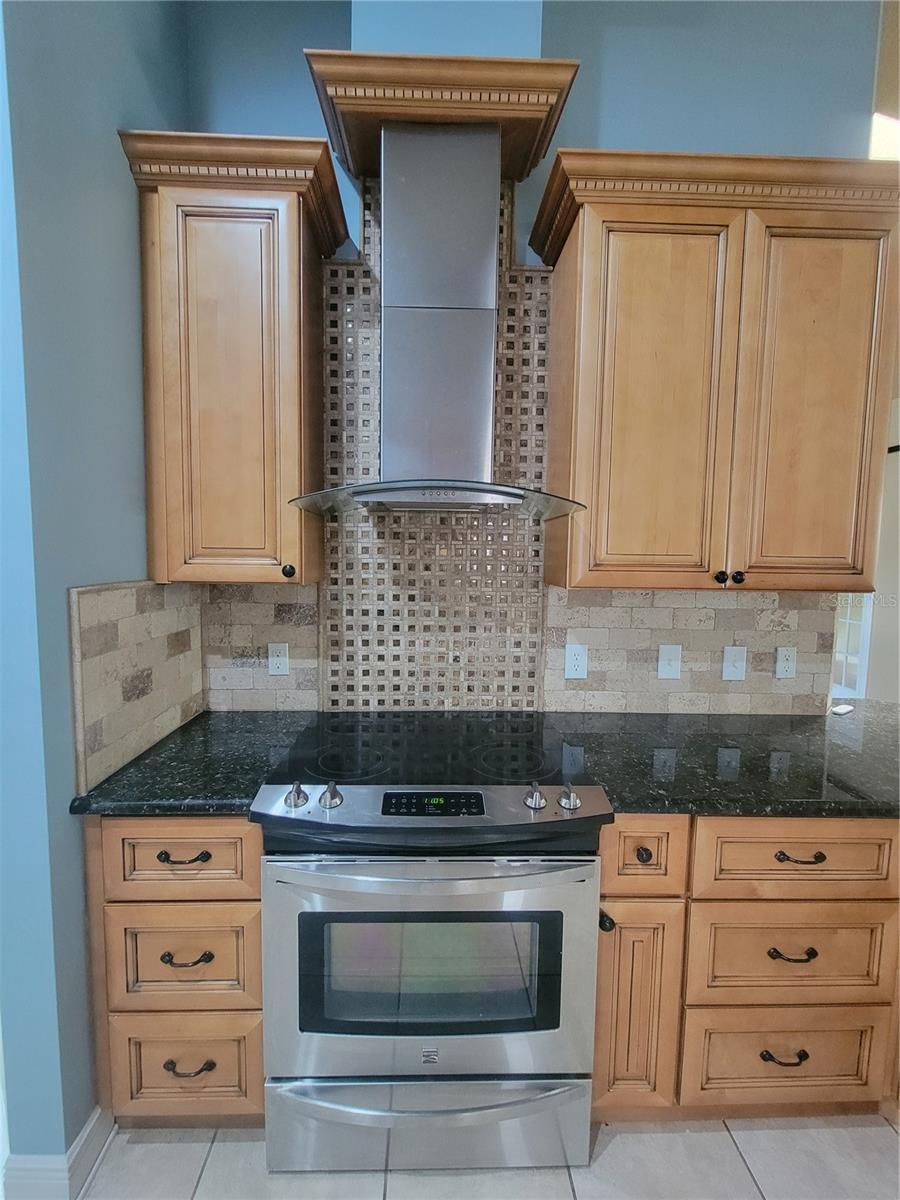 119 BRANDIWOOD CT, DEBARY, FL, 32713