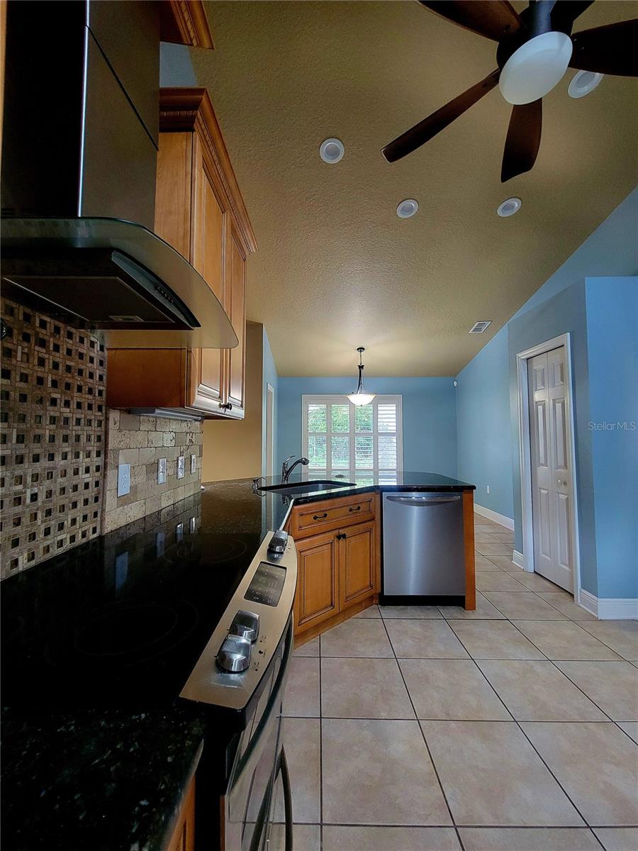 119 BRANDIWOOD CT, DEBARY, FL, 32713