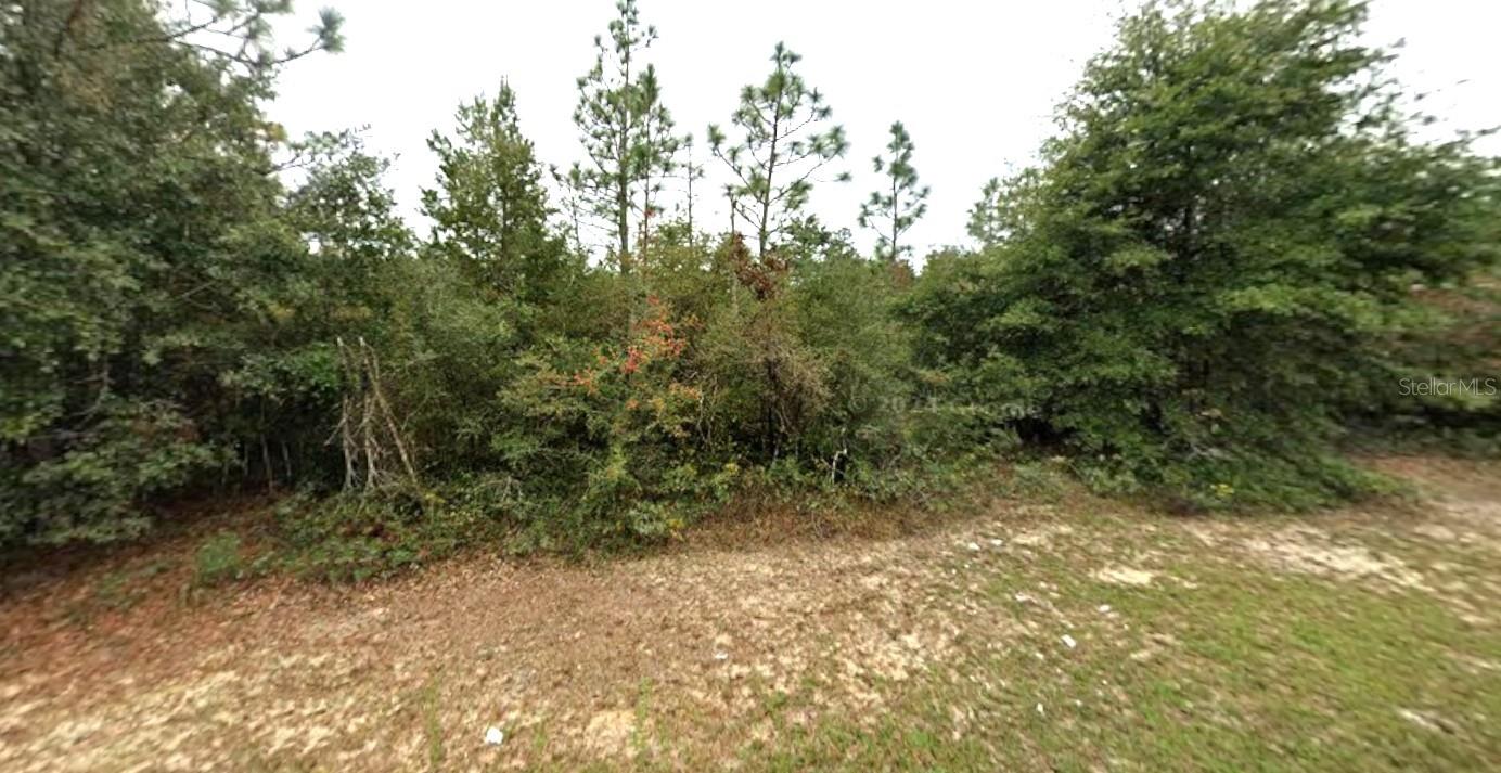 HEMLOCK CIR, CHIPLEY, FL, 32428
