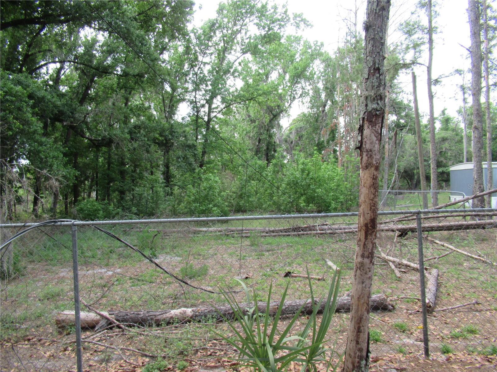 7814 TURKEY CREEK RD, PLANT CITY, FL, 33567