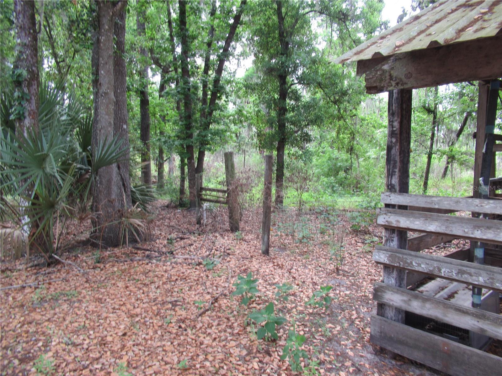 7814 TURKEY CREEK RD, PLANT CITY, FL, 33567