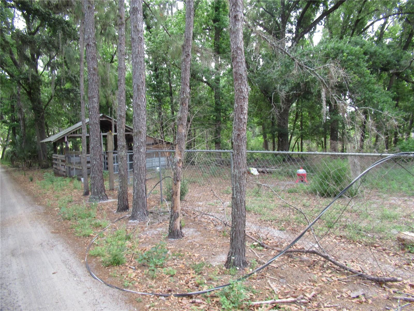 7814 TURKEY CREEK RD, PLANT CITY, FL, 33567
