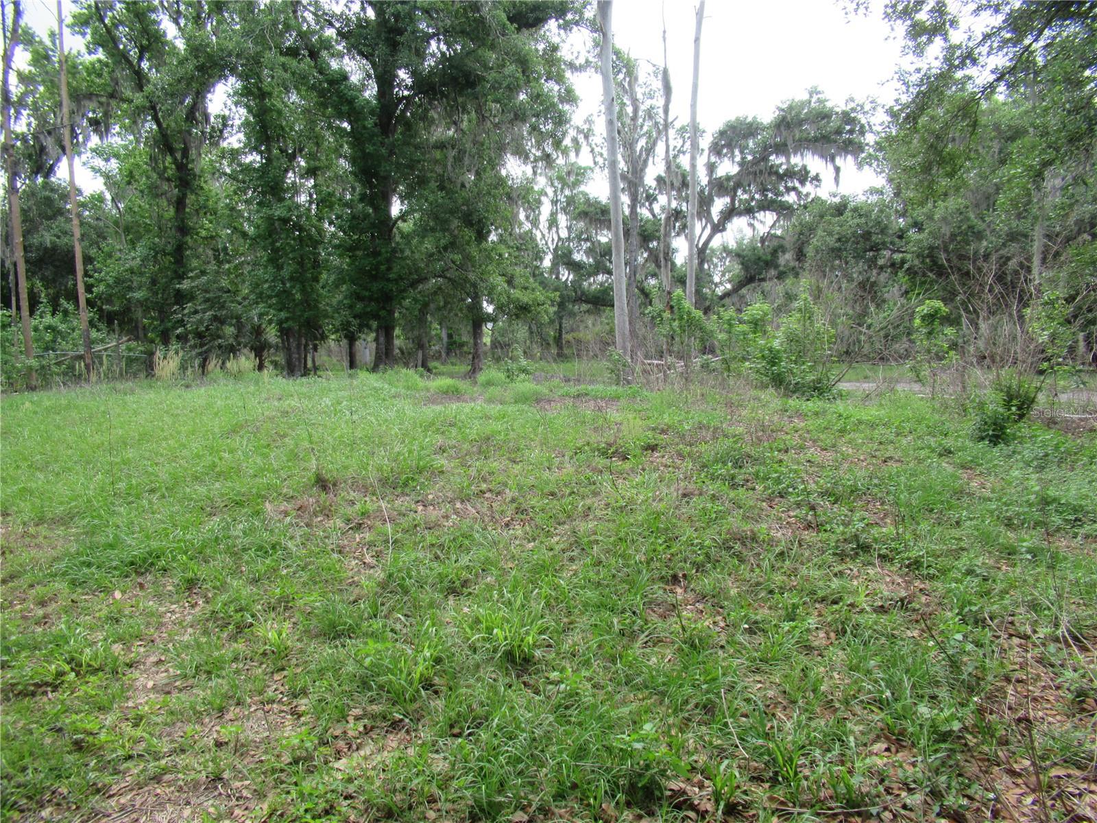7814 TURKEY CREEK RD, PLANT CITY, FL, 33567