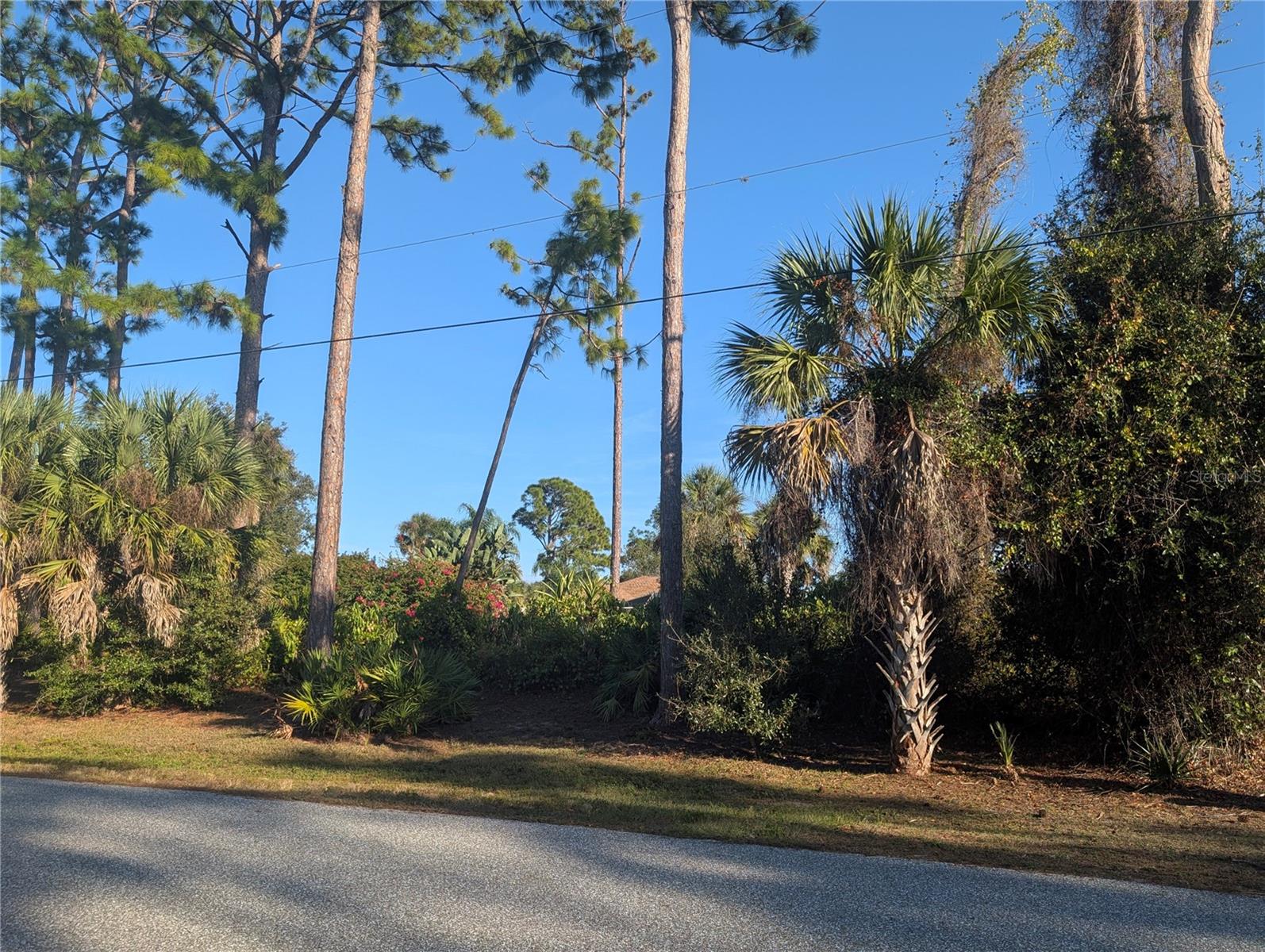 TBD BRANHAM ST, NORTH PORT, FL, 34291