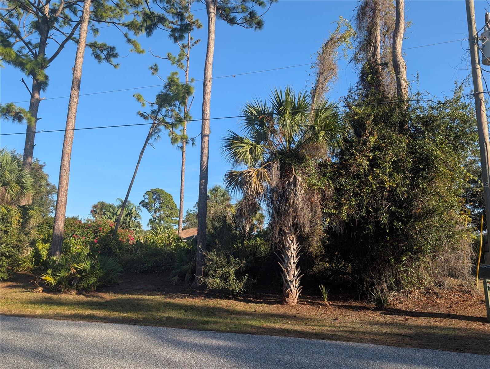 TBD BRANHAM ST, NORTH PORT, FL, 34291
