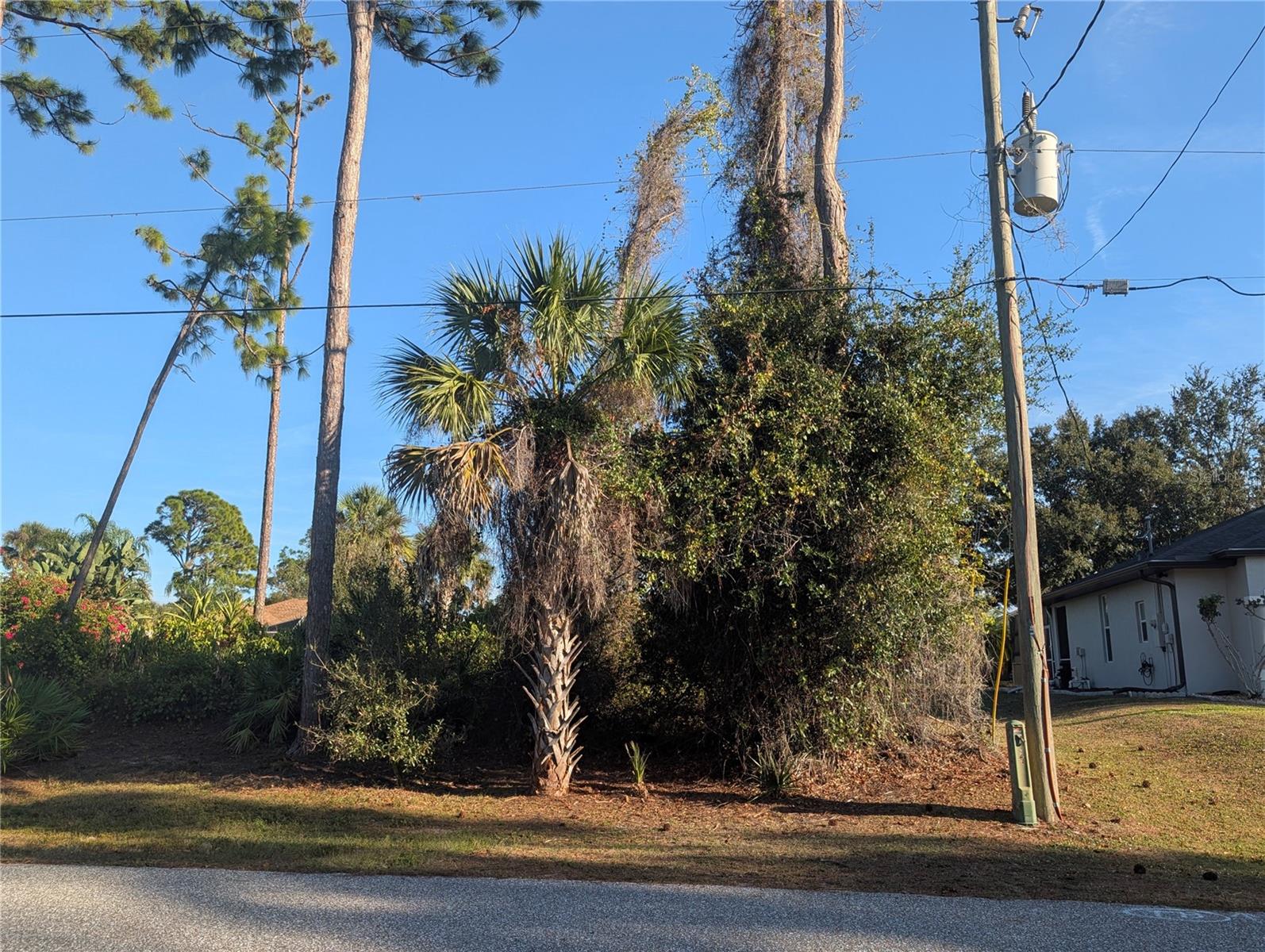 TBD BRANHAM ST, NORTH PORT, FL, 34291