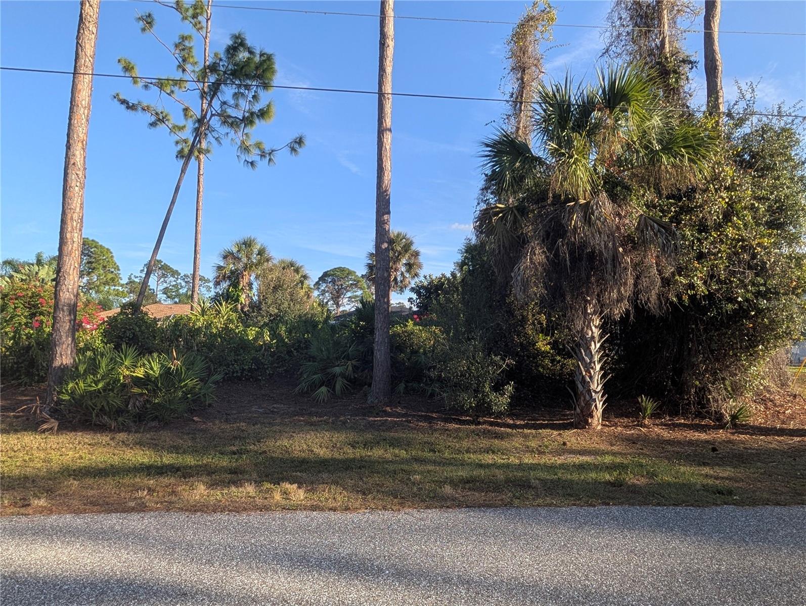 TBD BRANHAM ST, NORTH PORT, FL, 34291