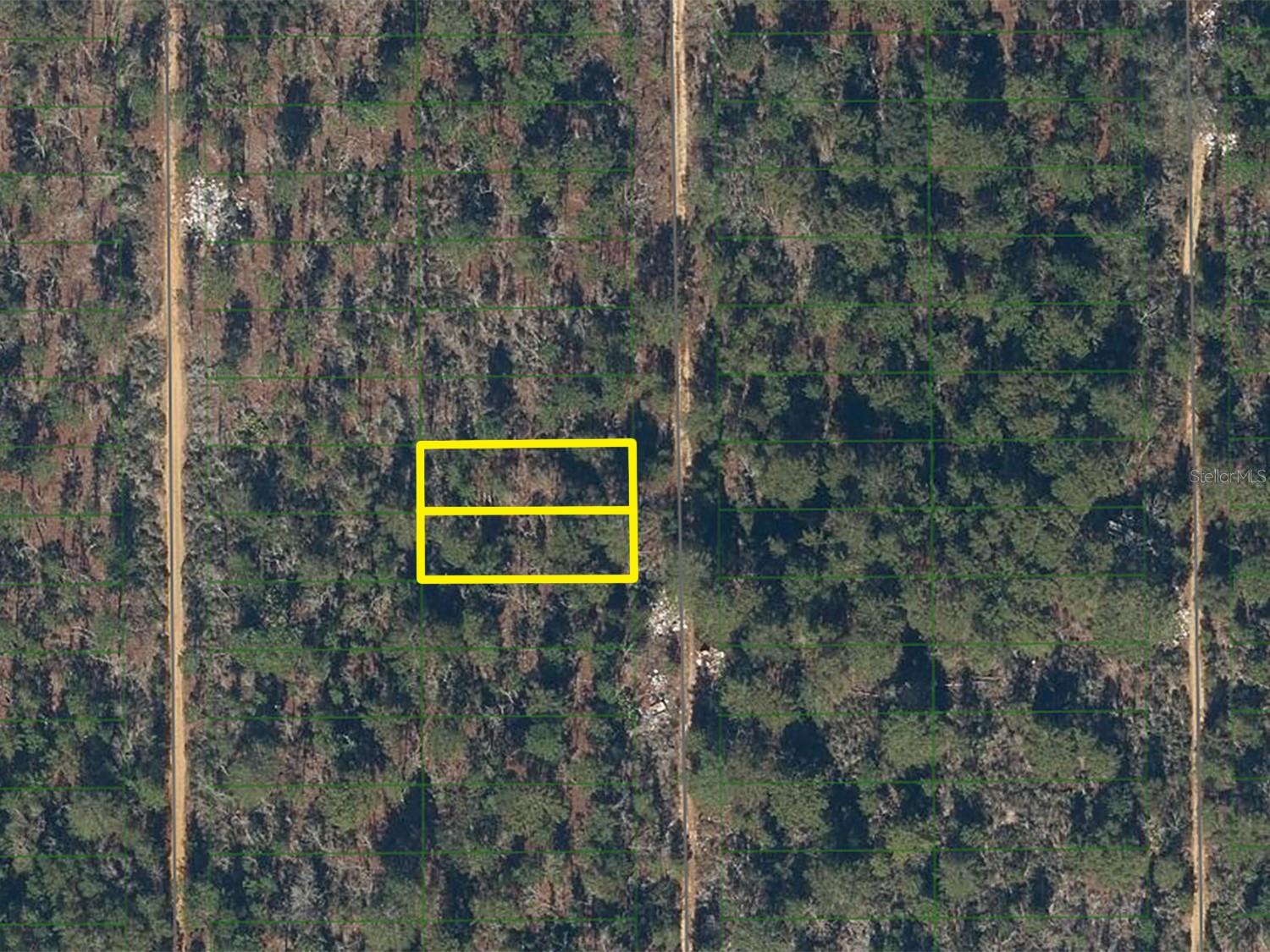 225 MAPLE ST, INTERLACHEN, FL, 32148