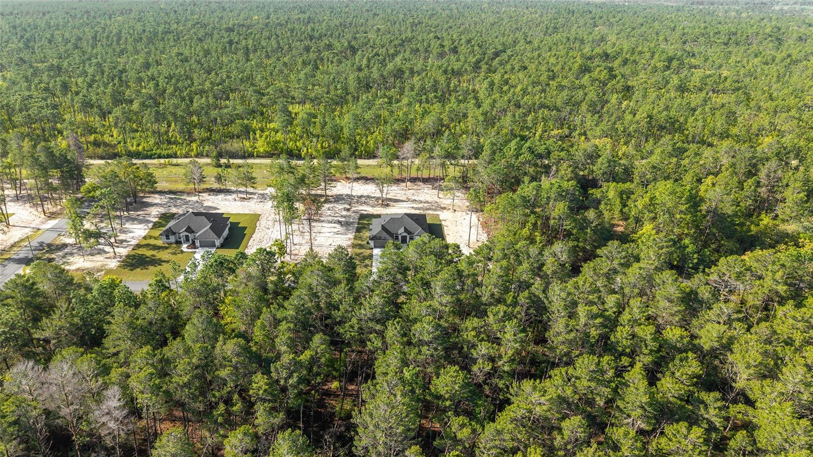 4438 SW 179TH PL, OCALA, FL, 34473