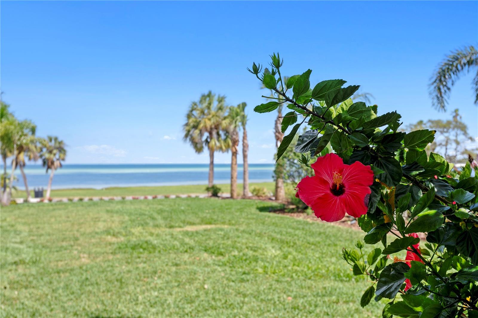 1803 BEACH DR SE, ST PETERSBURG, FL, 33705