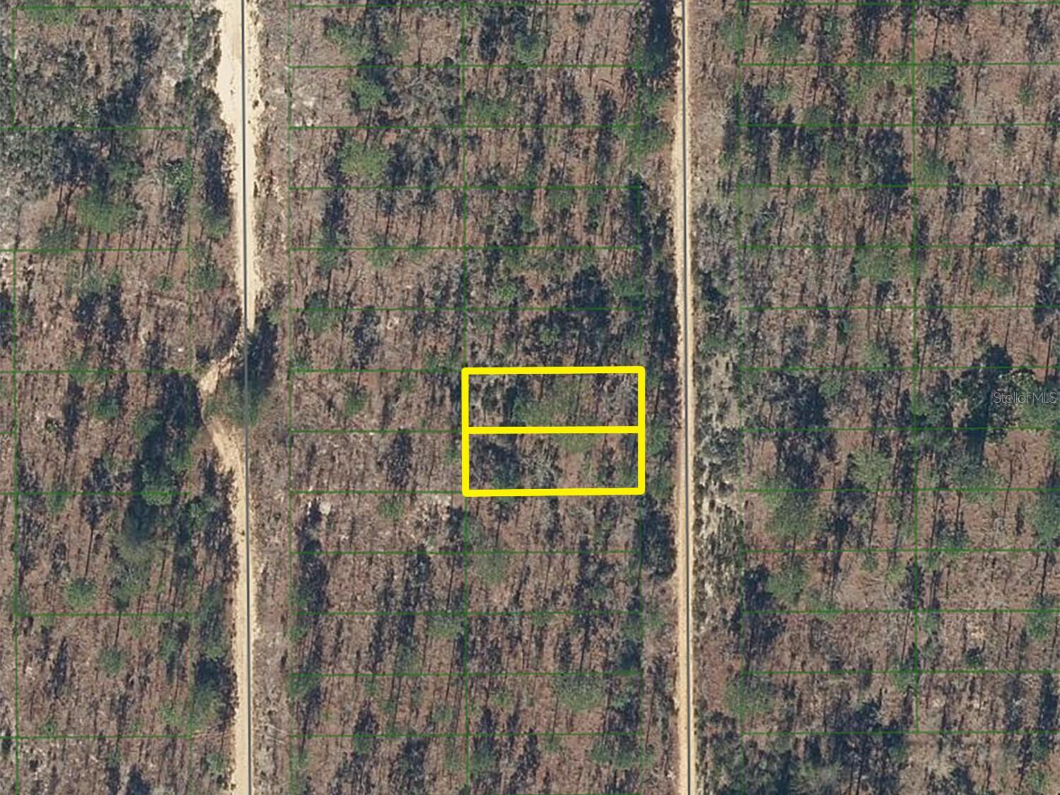 423 DOTHAN ST, INTERLACHEN, FL, 32148