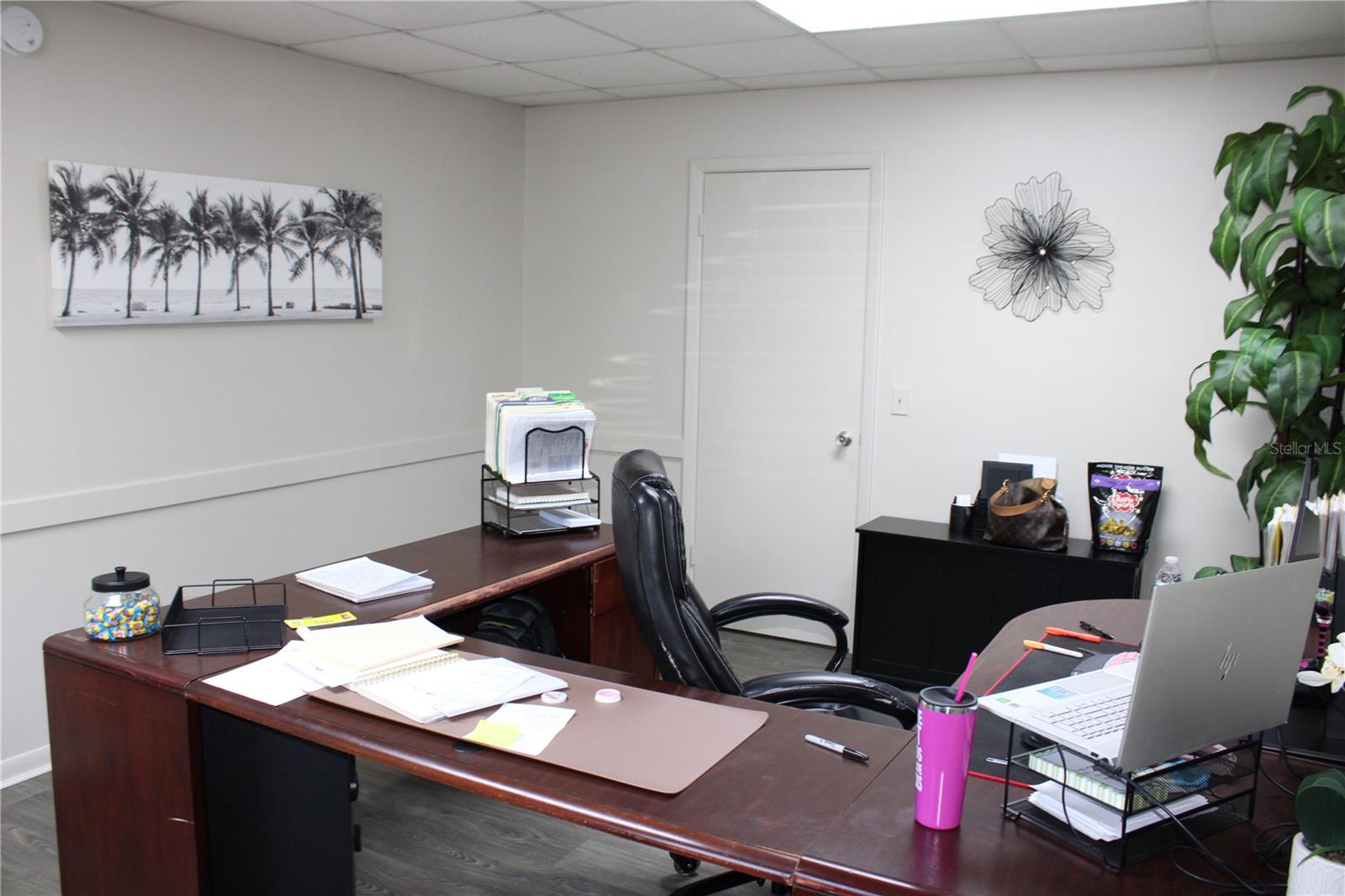 1158 ALTERNATE HWY 19 #1, HOLIDAY, FL, 34691