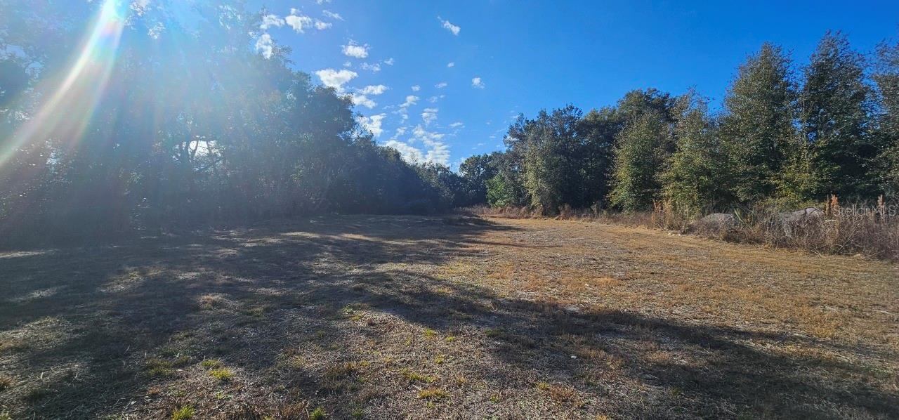 E CLEVELAND ST, APOPKA, FL, 32703