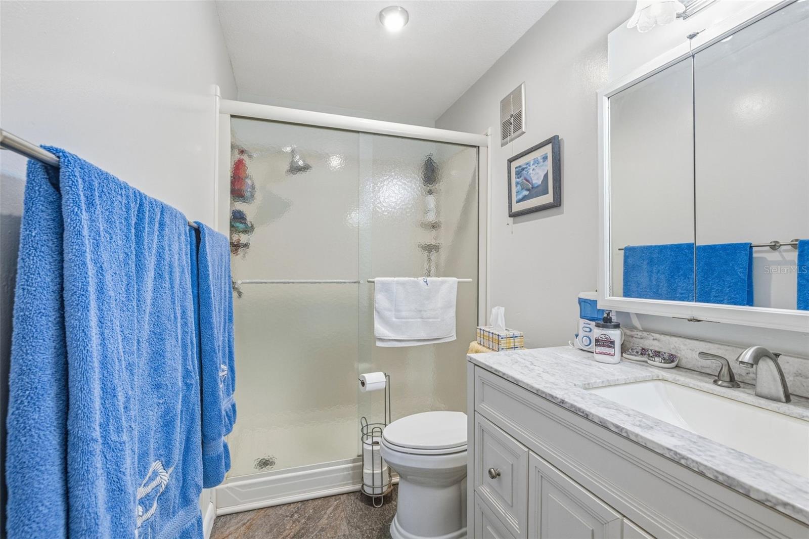 Full bathroom with walk in shower