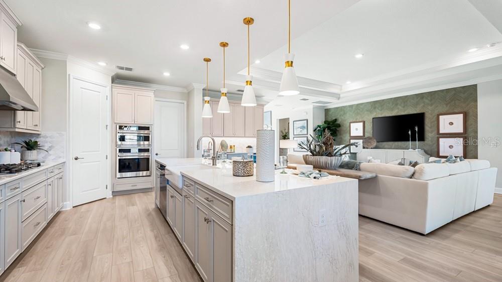 Representative Photo