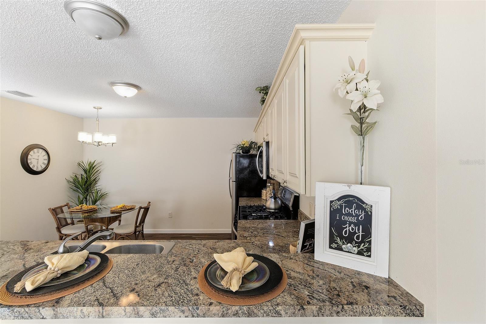 2343 PINE RIDGE ST, THE VILLAGES, FL, 32162