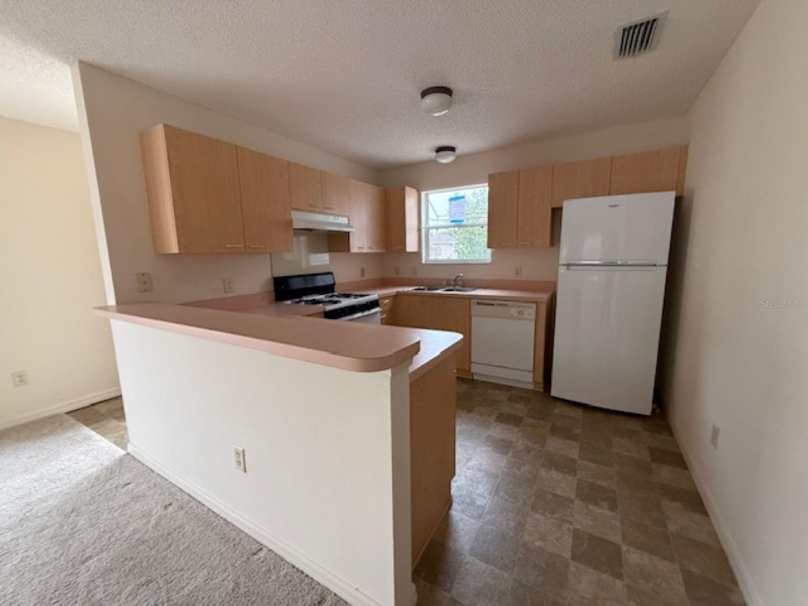 17412 SE 81ST NEWBERRY CT, THE VILLAGES, FL, 32162