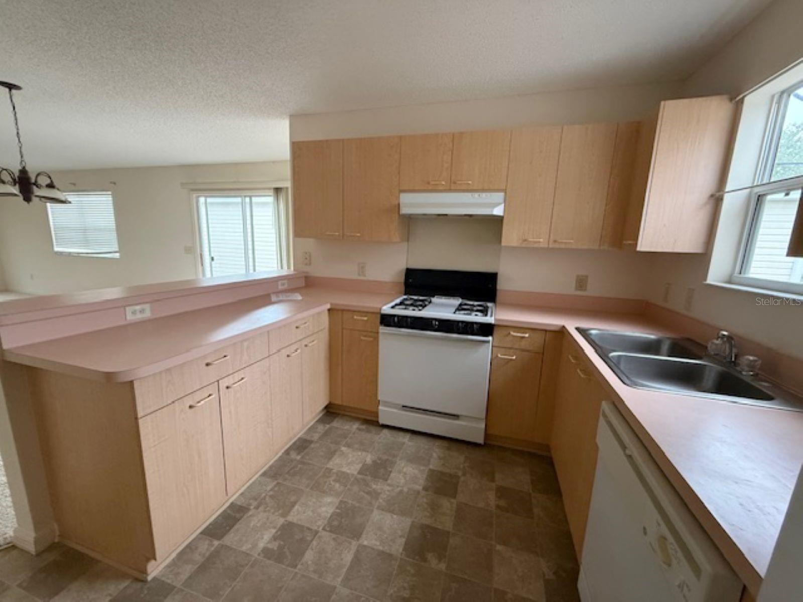 17412 SE 81ST NEWBERRY CT, THE VILLAGES, FL, 32162