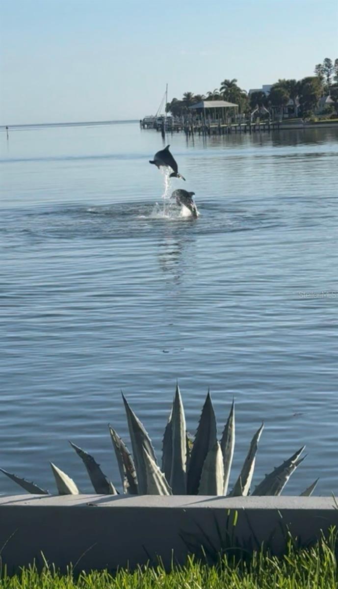 360 26TH AVE SE, ST PETERSBURG, FL, 33705