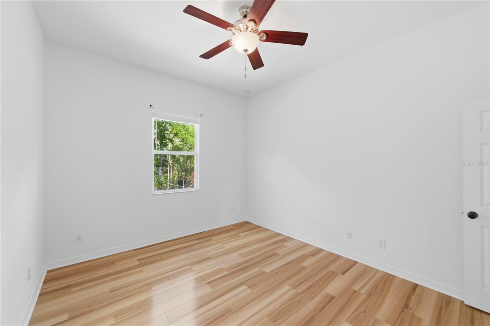 4118 WOODACRE LN, TAMPA, FL, 33624