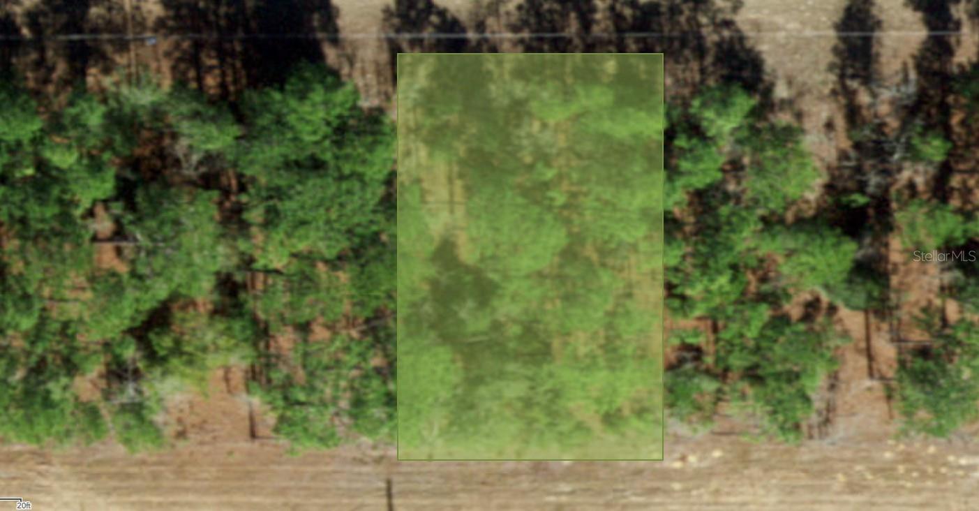 554 W GLENHAVEN DR, CITRUS SPRINGS, FL, 34434