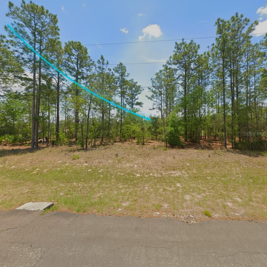 554 W GLENHAVEN DR, CITRUS SPRINGS, FL, 34434