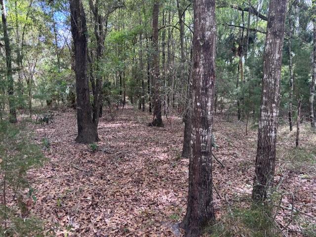 1.77 acres NW 73 ST, CHIEFLAND, FL, 32626