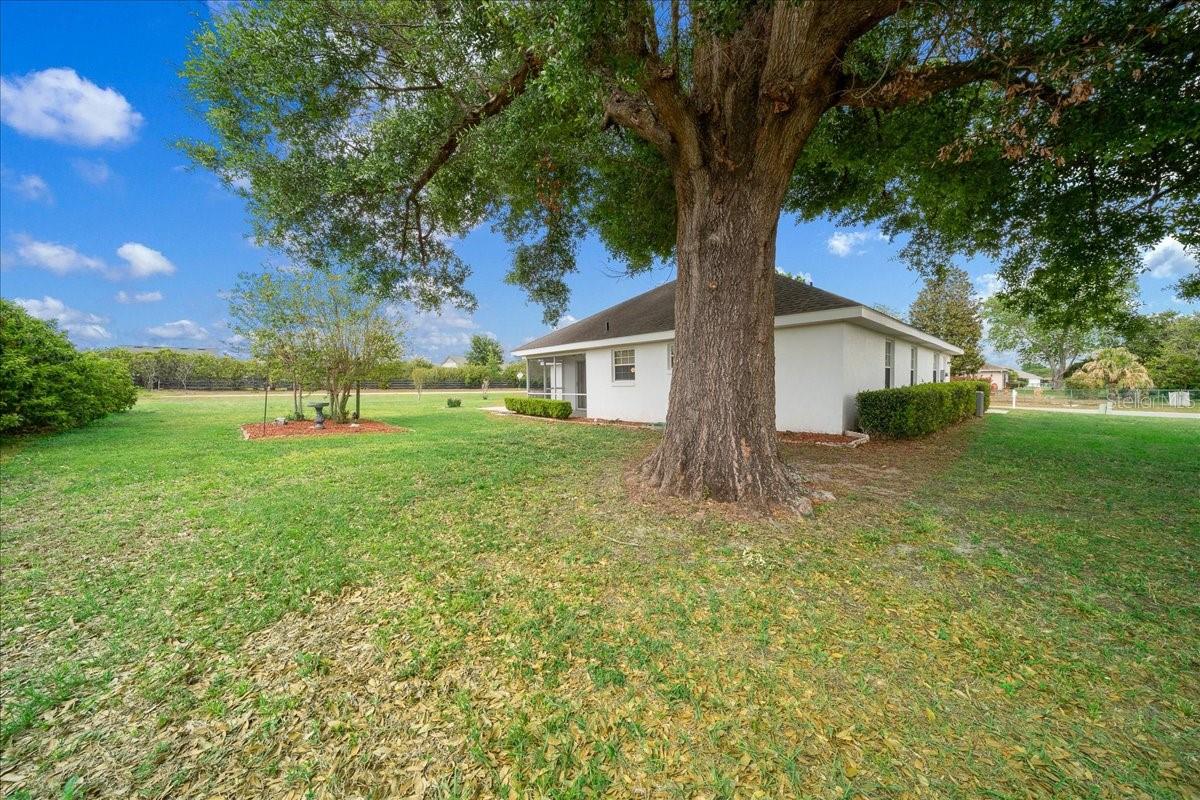 3498 NW 50TH CT, OCALA, FL, 34482