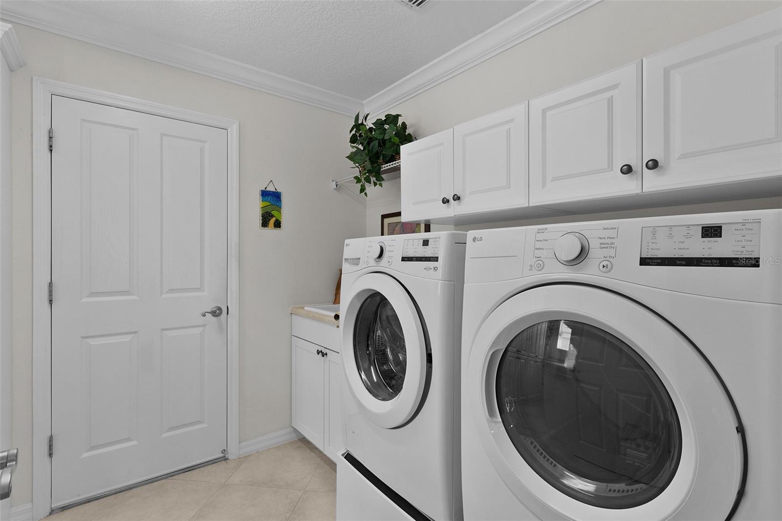 1251 EUREKA MILL RUN, THE VILLAGES, FL, 32162