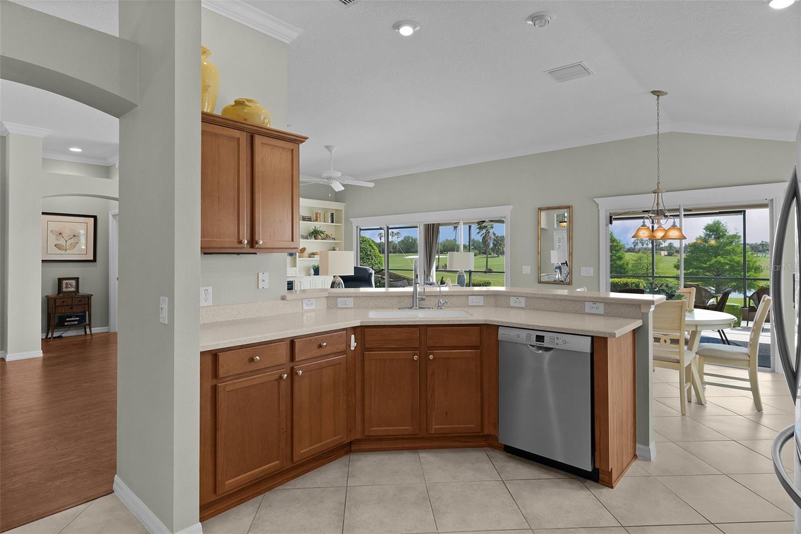 1251 EUREKA MILL RUN, THE VILLAGES, FL, 32162