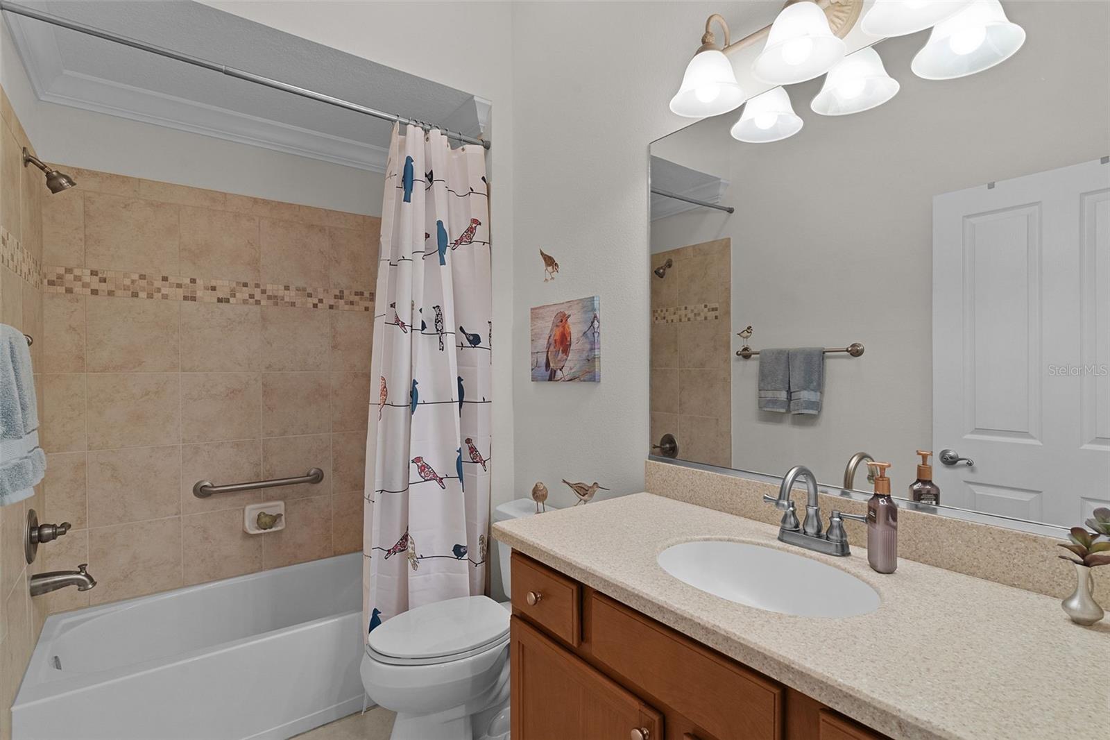 1251 EUREKA MILL RUN, THE VILLAGES, FL, 32162