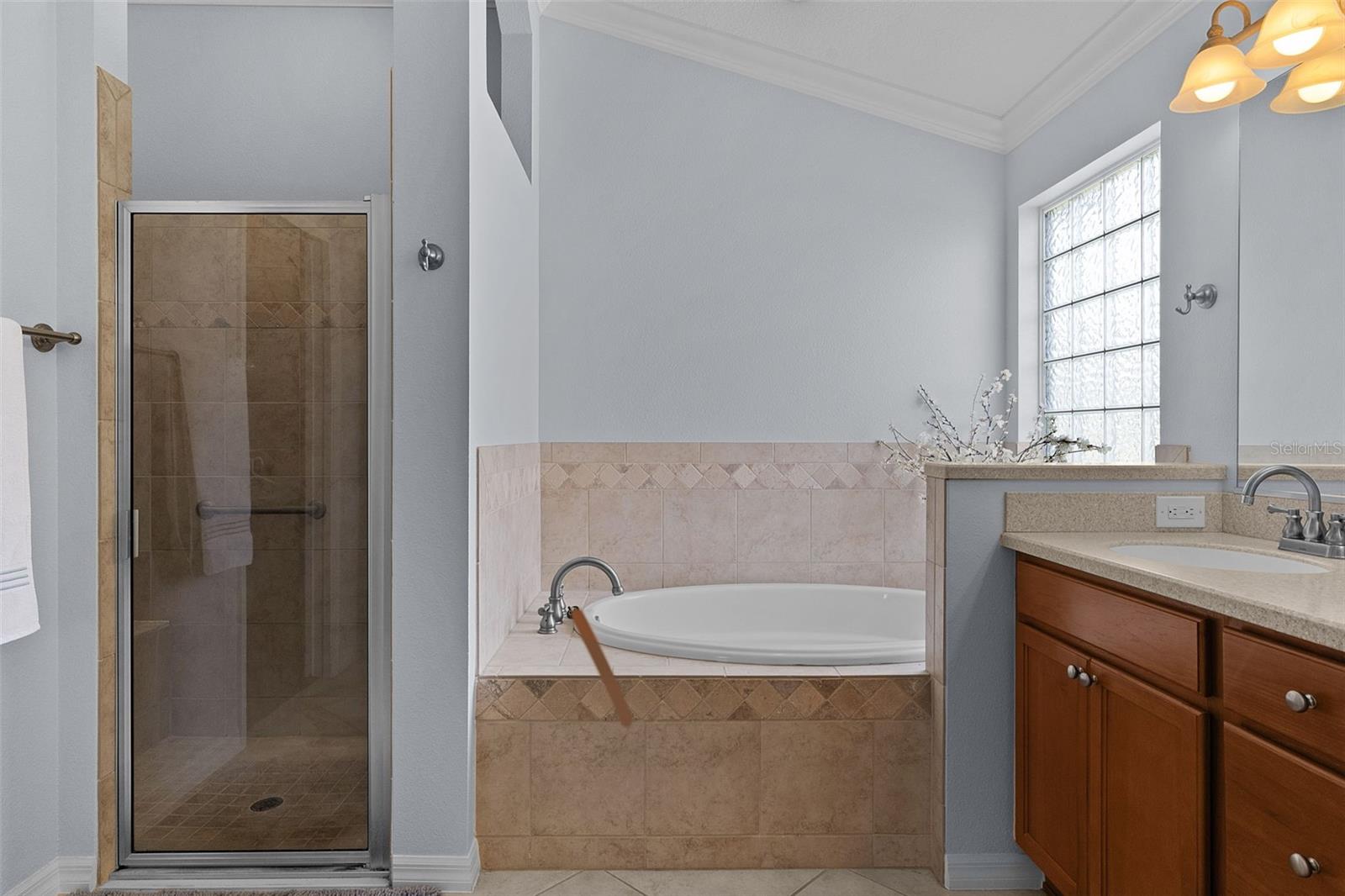 1251 EUREKA MILL RUN, THE VILLAGES, FL, 32162