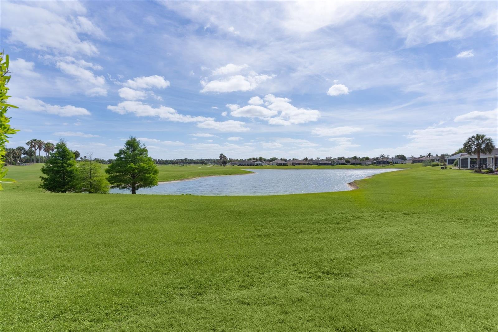 1251 EUREKA MILL RUN, THE VILLAGES, FL, 32162